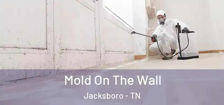  Mold On The Wall Jacksboro - TN