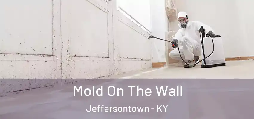 Mold On The Wall Jeffersontown - KY