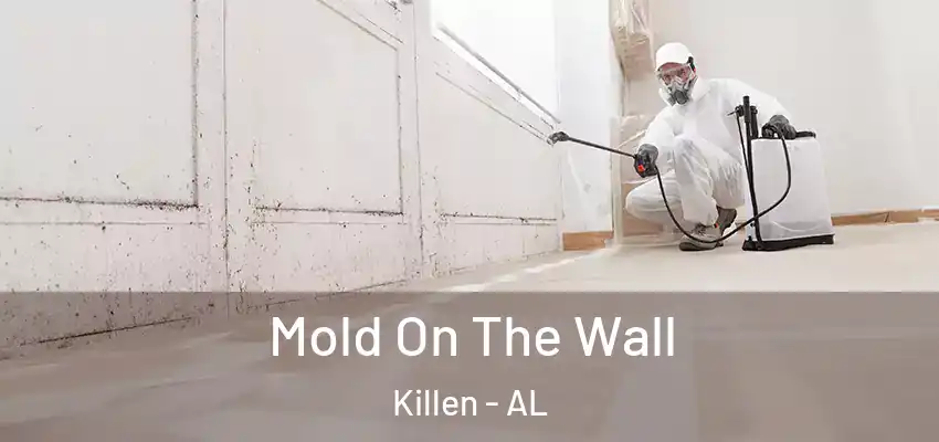 Mold On The Wall Killen - AL