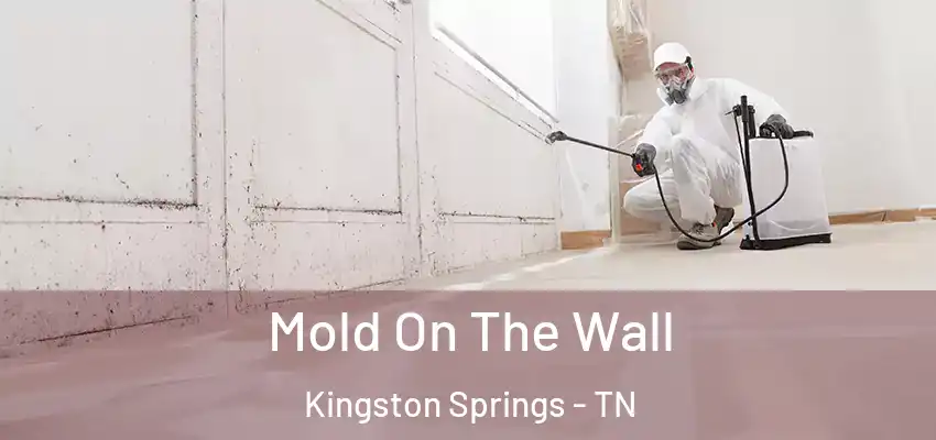 Mold On The Wall Kingston Springs - TN