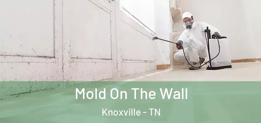 Mold On The Wall Knoxville - TN