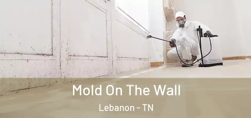 Mold On The Wall Lebanon - TN