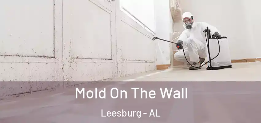  Mold On The Wall Leesburg - AL