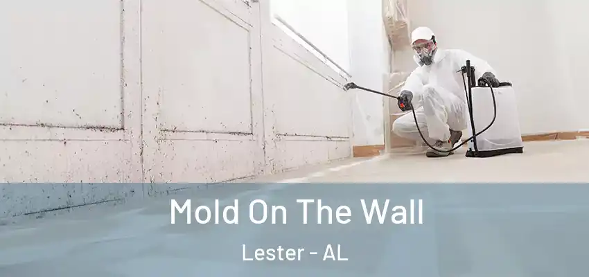 Mold On The Wall Lester - AL