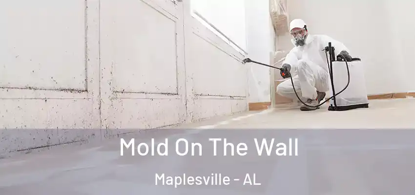 Mold On The Wall Maplesville - AL