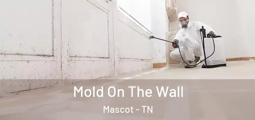 Mold On The Wall Mascot - TN