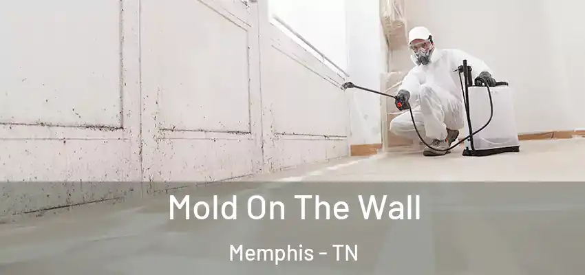  Mold On The Wall Memphis - TN