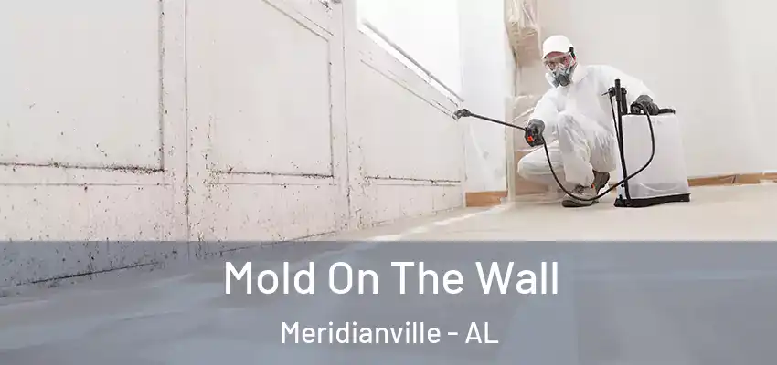  Mold On The Wall Meridianville - AL