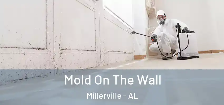Mold On The Wall Millerville - AL