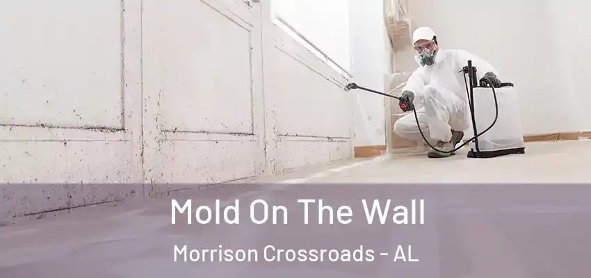  Mold On The Wall Morrison Crossroads - AL
