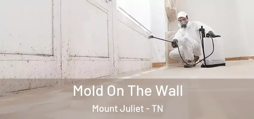 Mold On The Wall Mount Juliet - TN