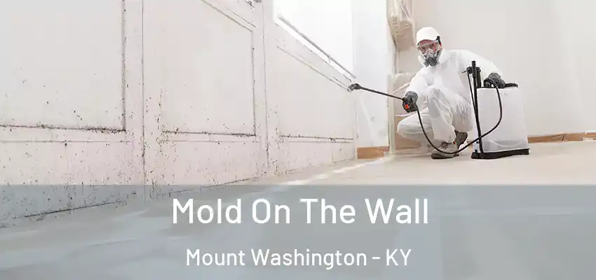  Mold On The Wall Mount Washington - KY