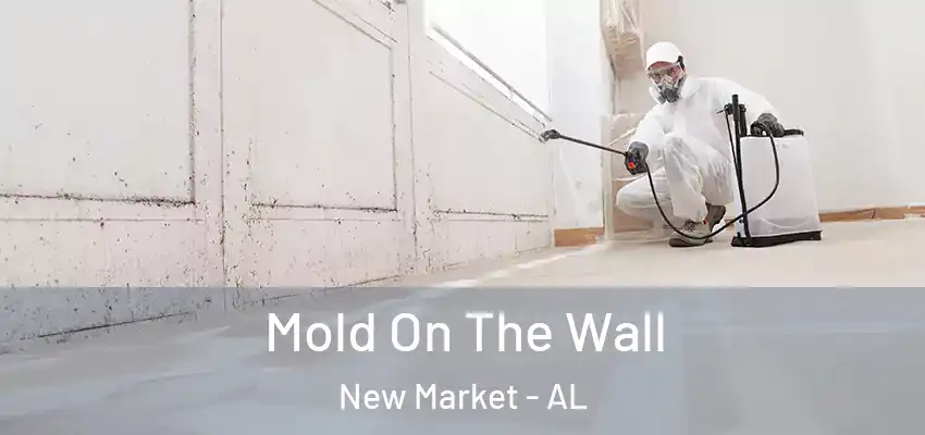 Mold On The Wall New Market - AL