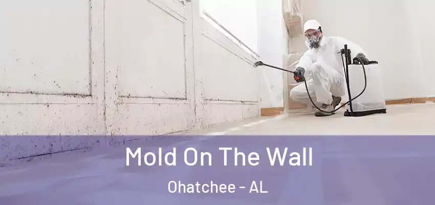  Mold On The Wall Ohatchee - AL