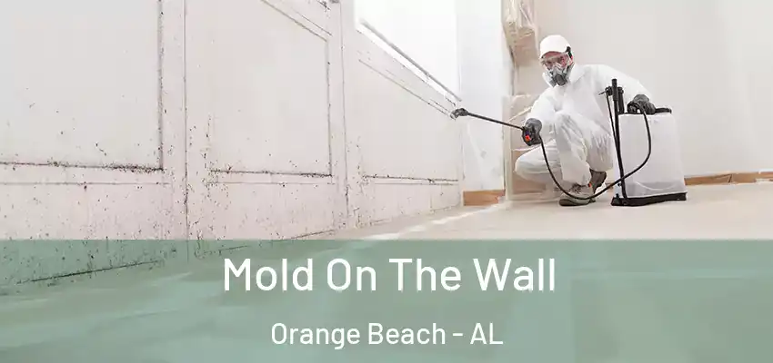  Mold On The Wall Orange Beach - AL