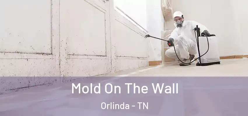 Mold On The Wall Orlinda - TN