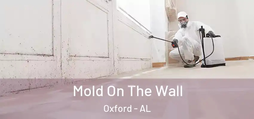  Mold On The Wall Oxford - AL