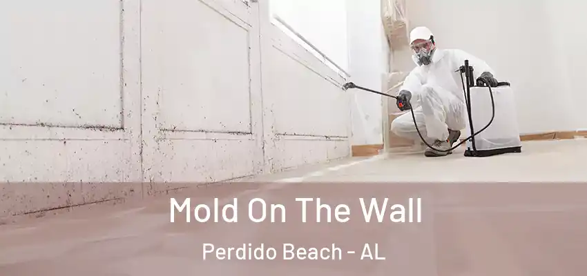  Mold On The Wall Perdido Beach - AL