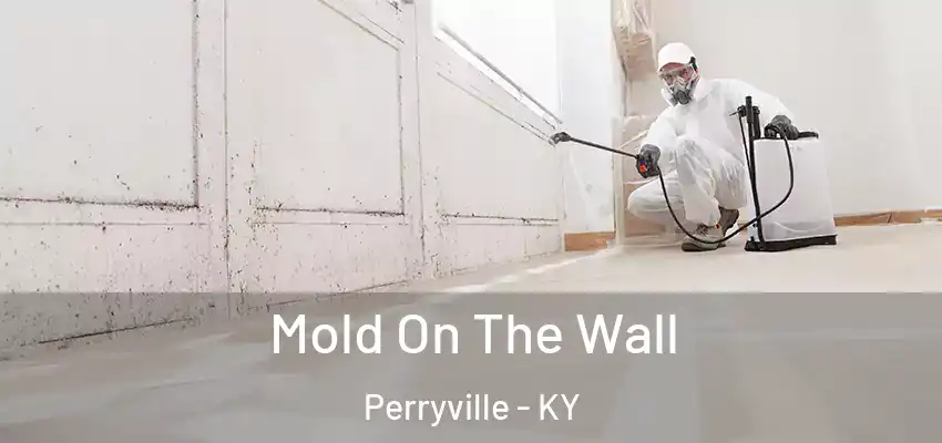  Mold On The Wall Perryville - KY