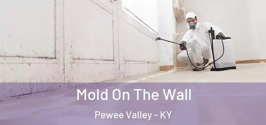  Mold On The Wall Pewee Valley - KY