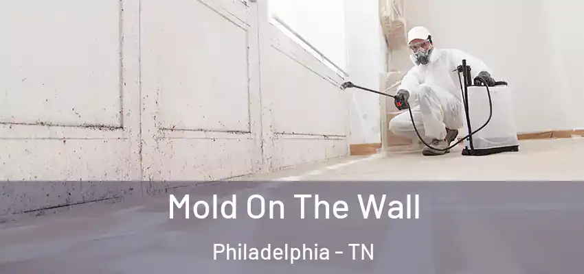 Mold On The Wall Philadelphia - TN
