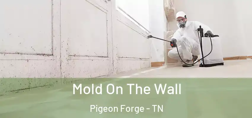  Mold On The Wall Pigeon Forge - TN