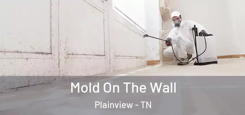 Mold On The Wall Plainview - TN