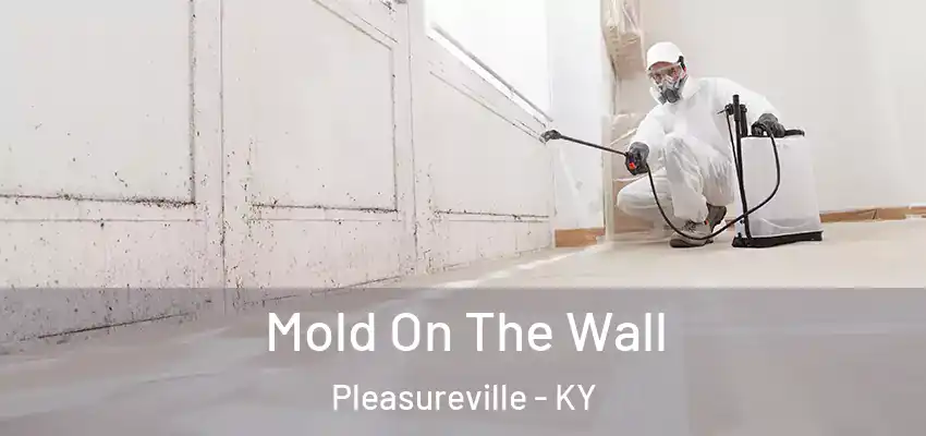 Mold On The Wall Pleasureville - KY