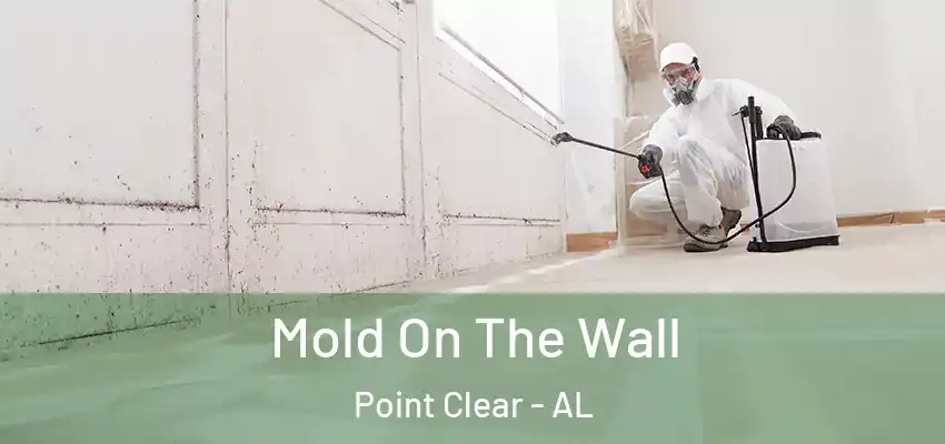 Mold On The Wall Point Clear - AL