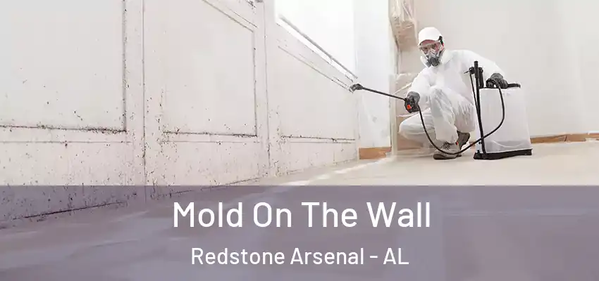 Mold On The Wall Redstone Arsenal - AL