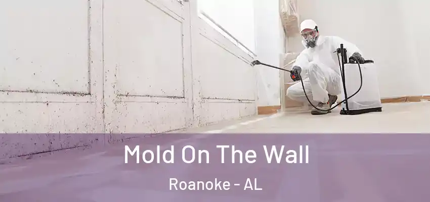 Mold On The Wall Roanoke - AL