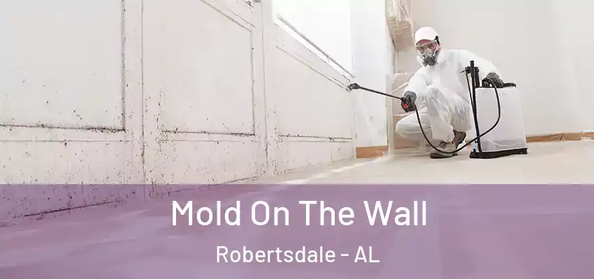 Mold On The Wall Robertsdale - AL