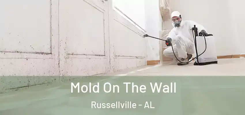  Mold On The Wall Russellville - AL