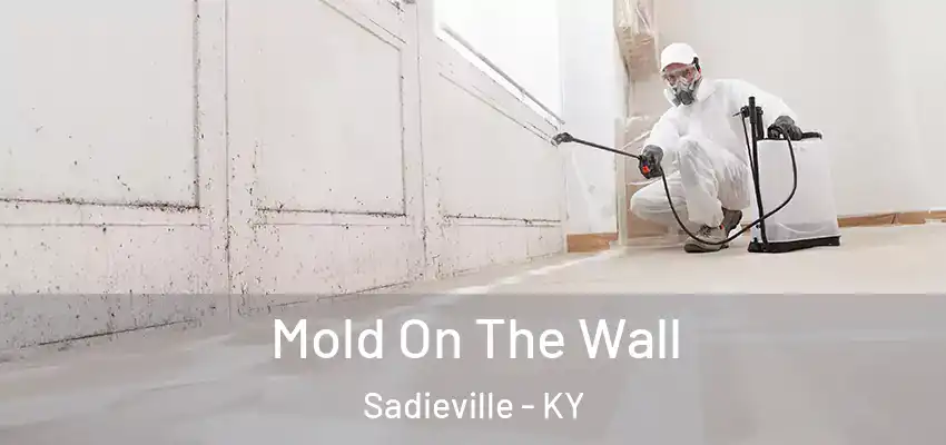 Mold On The Wall Sadieville - KY
