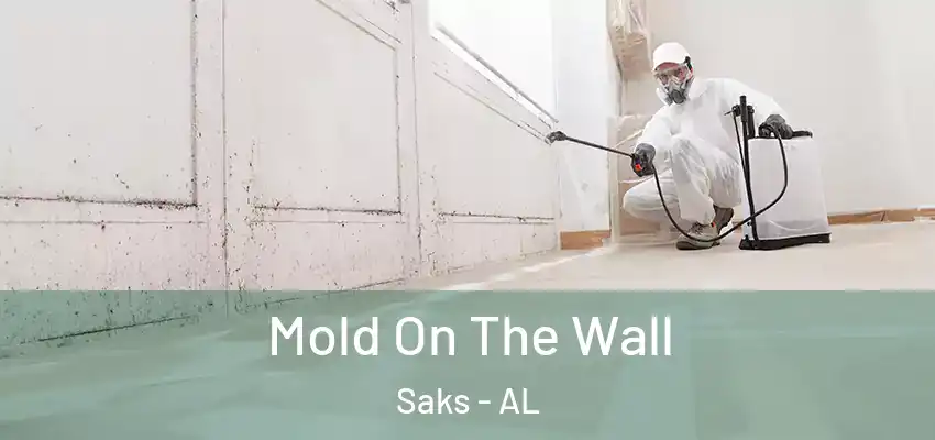 Mold On The Wall Saks - AL
