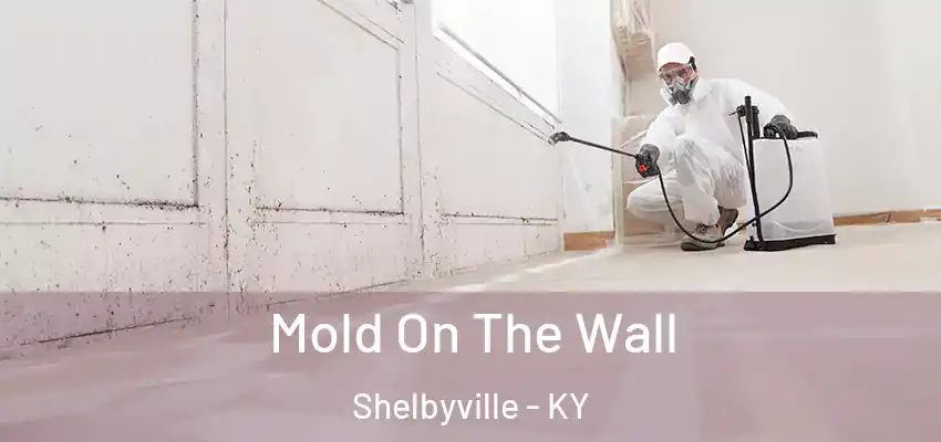 Mold On The Wall Shelbyville - KY