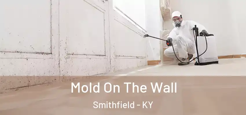 Mold On The Wall Smithfield - KY