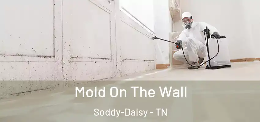  Mold On The Wall Soddy-Daisy - TN