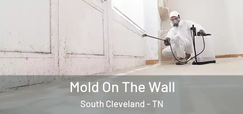 Mold On The Wall South Cleveland - TN