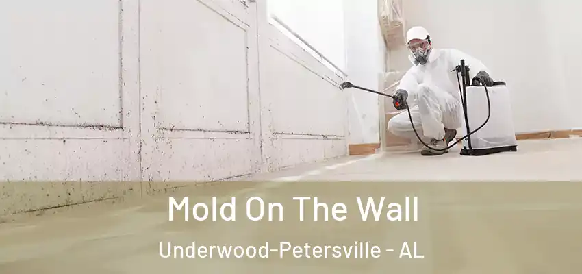 Mold On The Wall Underwood-Petersville - AL