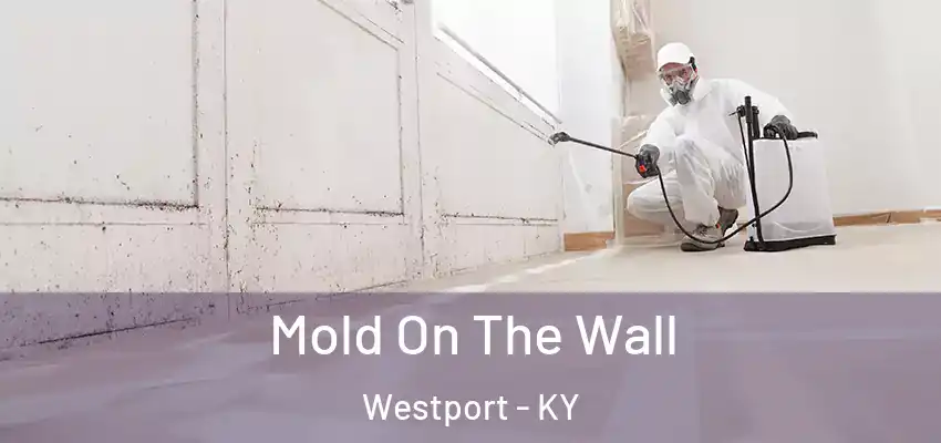  Mold On The Wall Westport - KY