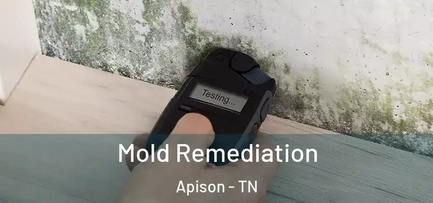  Mold Remediation Apison - TN