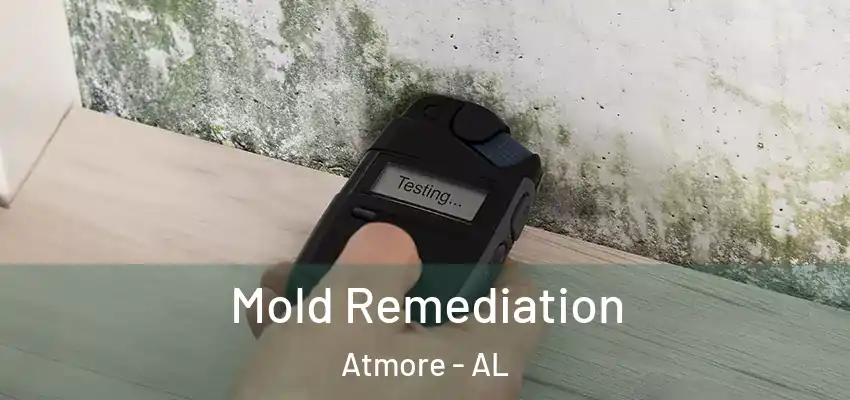  Mold Remediation Atmore - AL