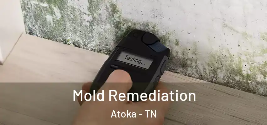  Mold Remediation Atoka - TN