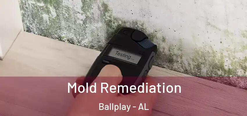  Mold Remediation Ballplay - AL
