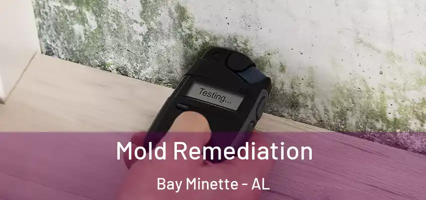  Mold Remediation Bay Minette - AL
