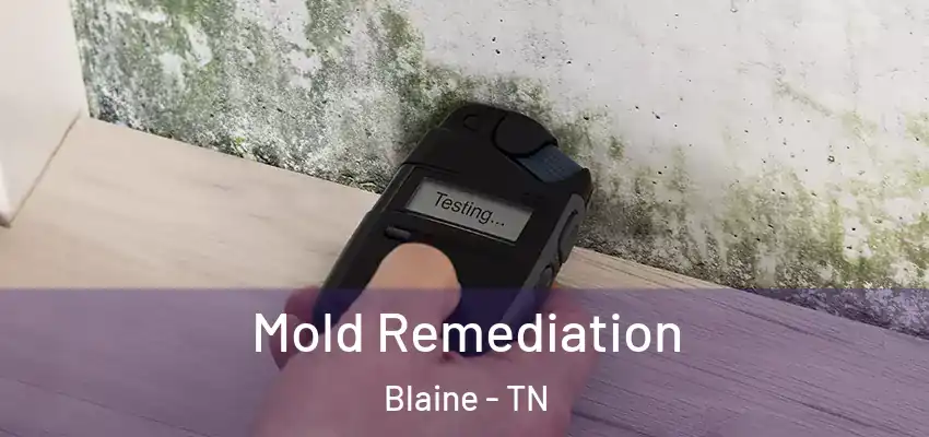  Mold Remediation Blaine - TN