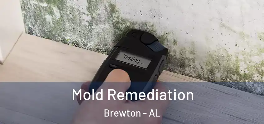  Mold Remediation Brewton - AL