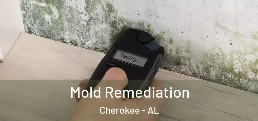  Mold Remediation Cherokee - AL