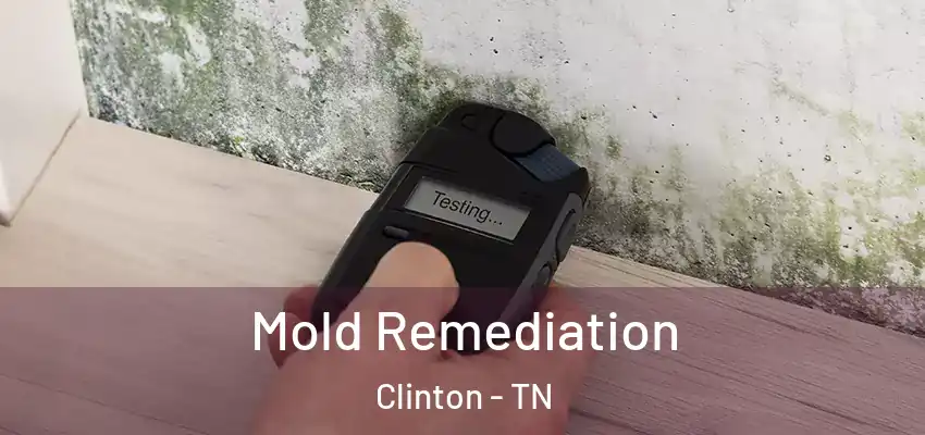  Mold Remediation Clinton - TN